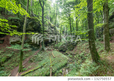 Beautiful green forest Hiking path with Sandstone chalk rock formations in Berdorf Mullerthal Luxembourg 132750557