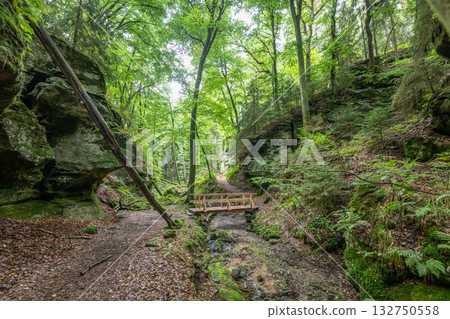 Beautiful green forest Hiking path with Sandstone chalk rock formations in Berdorf Mullerthal Luxembourg 132750558