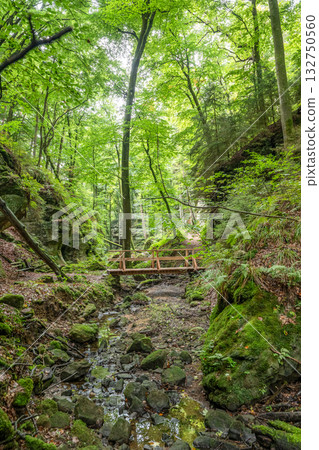 Beautiful green forest Hiking path with Sandstone chalk rock formations in Berdorf Mullerthal Luxembourg 132750560