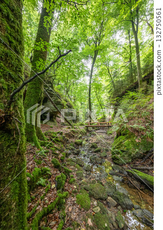 Beautiful green forest Hiking path with Sandstone chalk rock formations in Berdorf Mullerthal Luxembourg 132750561