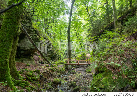 Beautiful green forest Hiking path with Sandstone chalk rock formations in Berdorf Mullerthal Luxembourg Beautiful green forest Hiking path with Sandstone chalk rock formations in Berdorf Mullerthal Luxembourg 132750566