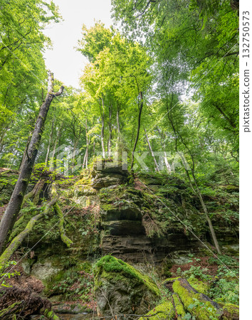 Beautiful green forest Hiking path with Sandstone chalk rock formations in Berdorf Mullerthal Luxembourg 132750573