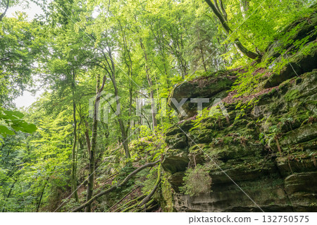 Beautiful green forest Hiking path with Sandstone chalk rock formations in Berdorf Mullerthal Luxembourg 132750575