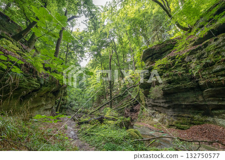 Beautiful green forest Hiking path with Sandstone chalk rock formations in Berdorf Mullerthal Luxembourg 132750577