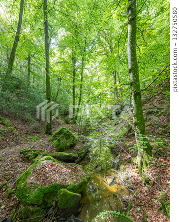 Beautiful green forest Hiking path with Sandstone chalk rock formations in Berdorf Mullerthal Luxembourg 132750580