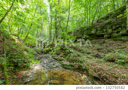 Beautiful green forest Hiking path with Sandstone chalk rock formations in Berdorf Mullerthal Luxembourg 132750582
