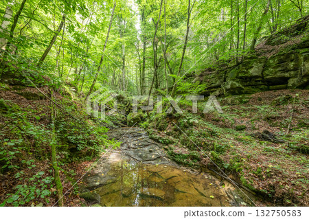 Beautiful green forest Hiking path with Sandstone chalk rock formations in Berdorf Mullerthal Luxembourg Beautiful green forest Hiking path with Sandstone chalk rock formations in Berdorf Mullerthal Luxembourg 132750583