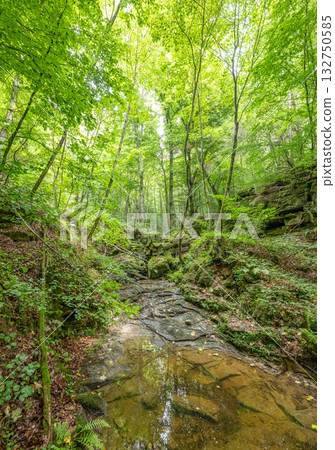Beautiful green forest Hiking path with Sandstone chalk rock formations in Berdorf Mullerthal Luxembourg 132750585