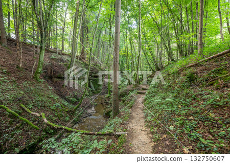 Beautiful green forest Hiking path with Sandstone chalk rock formations in Berdorf Mullerthal Luxembourg 132750607