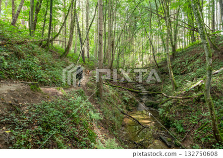 Beautiful green forest Hiking path with Sandstone chalk rock formations in Berdorf Mullerthal Luxembourg 132750608
