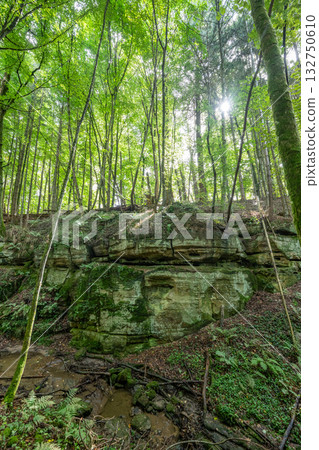 Beautiful green forest Hiking path with Sandstone chalk rock formations in Berdorf Mullerthal Luxembourg Beautiful green forest Hiking path with Sandstone chalk rock formations in Berdorf Mullerthal Luxembourg 132750610