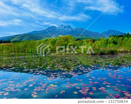夏季伊森池與妙高山之間的對稱美 夏季伊森池與妙高山之間的對稱美 132750634