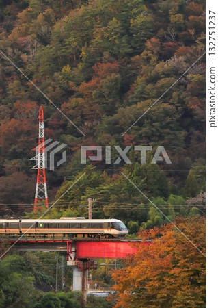 383 Series Limited Express Wide View Shinano No. 2 running through the autumn-colored Kiso Road in the evening (Photo taken on November 2, 2025) 132751237