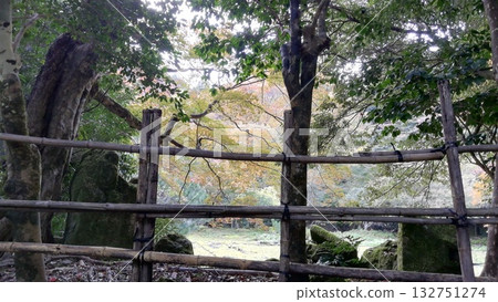 萬恩寺，著名的賞楓勝地：楓葉開始變色 132751274