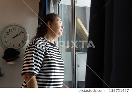 Senior Lifestyle 132751437