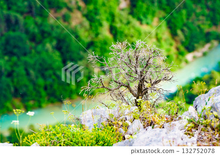 Mountain view. Verdon Gorge in Provence France. 132752078
