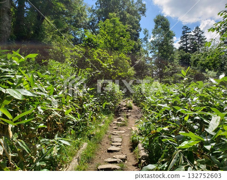 在陽光明媚的日子爬山 132752603