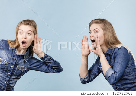 Two women telling tales, rumors gossip 132752765