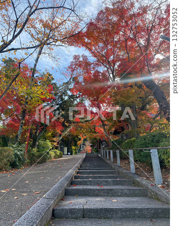 通往神社的小路沐浴在秋日的陽光中。 通往神社的小路沐浴在秋日的陽光中。 132753052