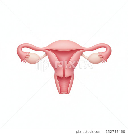 女性生殖器 132753468