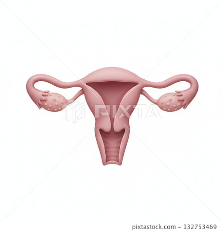 女性生殖器 132753469