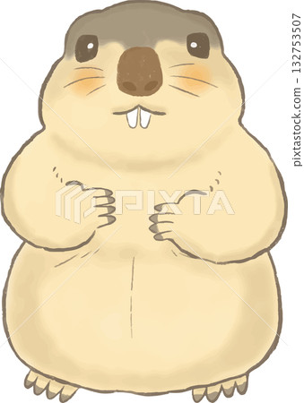 Cute marmot hand-drawn illustration Cute marmot hand-drawn illustration 132753507