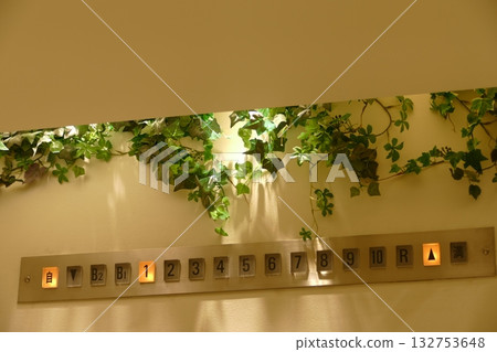[Elevator floor display] 132753648