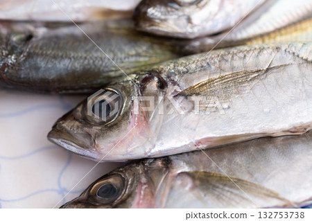 小竹莢魚圖片(庫存照片) 小竹莢魚圖片(庫存照片) 132753738