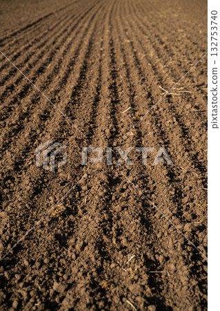 Close view of plowed brown soil with visible rows on agricultural land Close view of plowed brown soil with visible rows on agricultural land 132753740