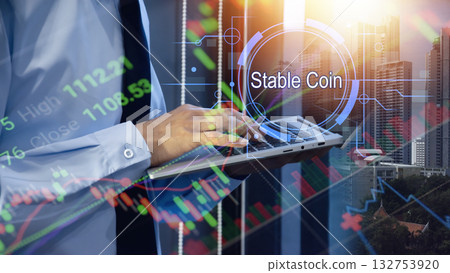 The use of stablecoins in financial and settlement systems 132753920