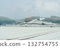 Furano hills and snow-covered vineyards (Kami-Furano, Hokkaido) 132754755