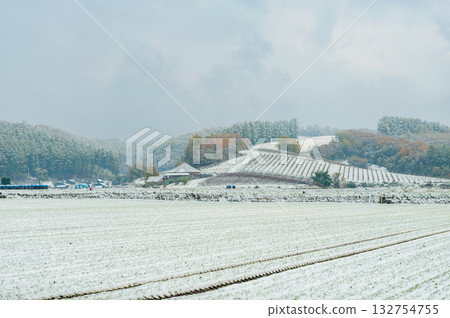 Furano hills and snow-covered vineyards (Kami-Furano, Hokkaido) 132754755
