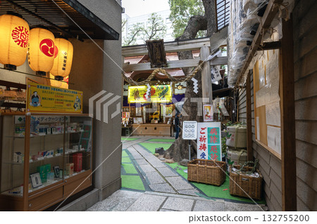 Osaka/Sukunahikona Shrine (photographed in November 2024) 132755200