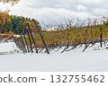 Snow-covered grape fields and rows of supporting pillars (Furano, Hokkaido) 132755462