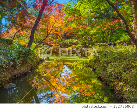 Autumn scenery of a Japanese garden with beautiful reflections of autumn leaves on the river surface (Rikugien Garden, Bunkyo Ward, Tokyo) 132756008