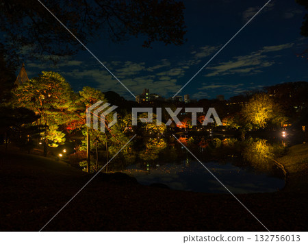 Night view of a Japanese garden in autumn, with illuminated trees reflected on the surface of a pond (Rikugien Garden, Bunkyo Ward, Tokyo) Night view of a Japanese garden in autumn, with illuminated trees reflected on the surface of a pond (Rikugien Garden, Bunkyo Ward, Tokyo) 132756013