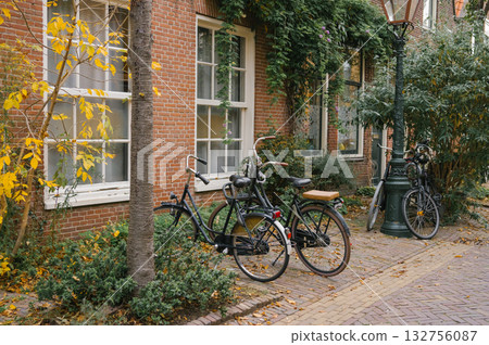 Bicycles parked by ivy-covered brick building on autumn afternoon Bicycles parked by ivy-covered brick building on autumn afternoon 132756087