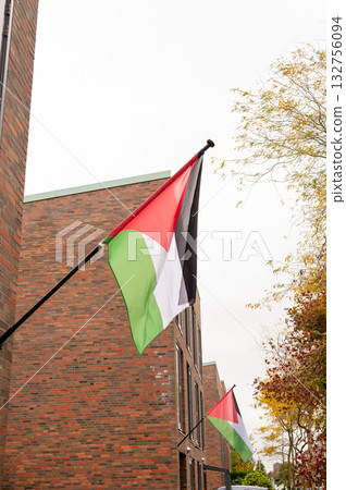 Palestinian flags on brick buildings displaying national colors against cloudy sky Palestinian flags on brick buildings displaying national colors against cloudy sky 132756094