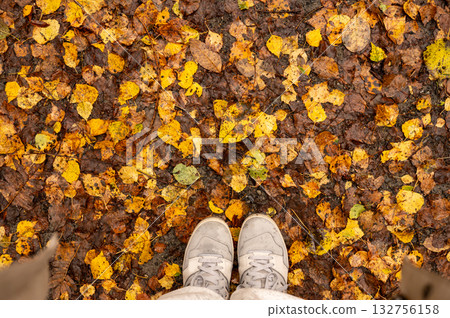 Top-down view of sneakers on colorful autumn leaves covering forest floor Top-down view of sneakers on colorful autumn leaves covering forest floor 132756158
