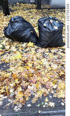 Two garbage bags on fallen autumn leaves creating textured seasonal background suitable for eco themes Two garbage bags on fallen autumn leaves creating textured seasonal background suitable for eco themes 132756308