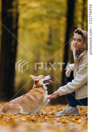 Happy corgi dog giving paw to woman in autumn forest full of yellow leaves and warm sunlight 132756458