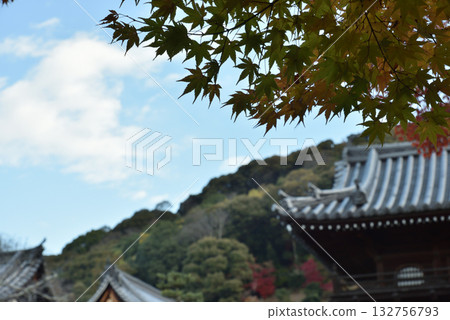 秋日的興聖寺：寺門前的楓樹（京都府宇治市） 132756793