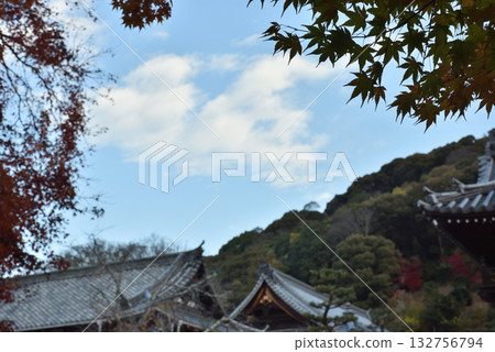 秋日的興聖寺：寺門前的楓樹（京都府宇治市） 132756794