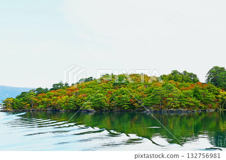 青森縣十和田市十和田湖中山半島中山崎西湖畔的秋葉 青森縣十和田市十和田湖中山半島中山崎西湖畔的秋葉 132756981