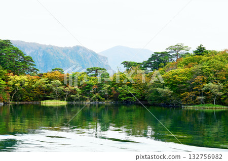 青森縣十和田市十和田湖中山半島中山崎西湖畔的秋葉 青森縣十和田市十和田湖中山半島中山崎西湖畔的秋葉 132756982