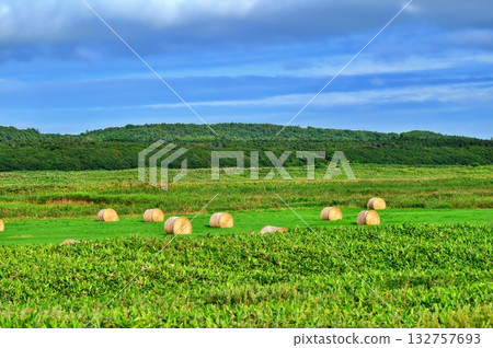 Scenery of the Sarobetsu Plain in Hokkaido Scenery of the Sarobetsu Plain in Hokkaido 132757693