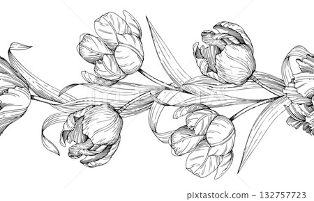 Seamless border of tulips. Handmade ink vector illustration of tulip. For design of cards, cover, prints, product labels and fabric. Seamless border of tulips. Handmade ink vector illustration of tulip. For design of cards, cover, prints, product labels and fabric. 132757723
