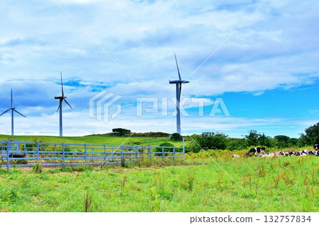 Summer Hokkaido: Windmills and farm scenery on the Ororon Line Summer Hokkaido: Windmills and farm scenery on the Ororon Line 132757834