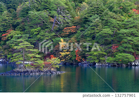 青森郡、秋色迷人的十和田湖、中山半島、西湖以及十由島的松樹 132757901