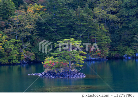 青森郡、秋色迷人的十和田湖、中山半島、西湖以及十由島的松樹 132757903